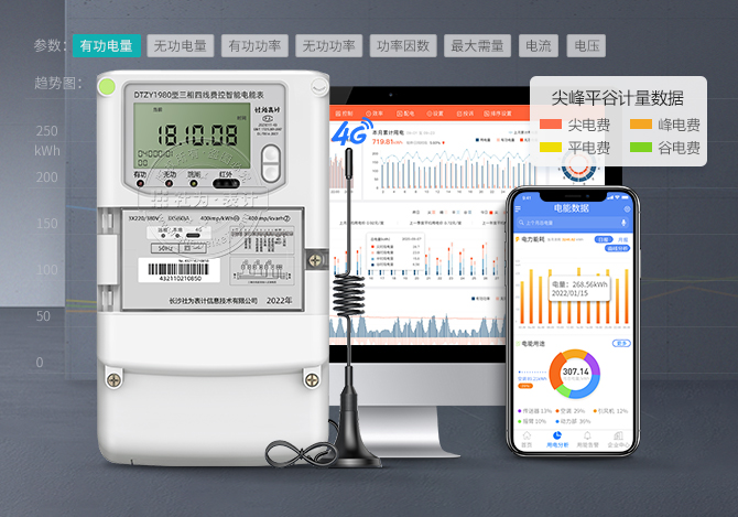 DTZY19804G無(wú)線(xiàn)智能電表